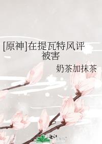 原神提瓦特指南在哪