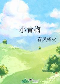 小青梅春风榴火txt百度
