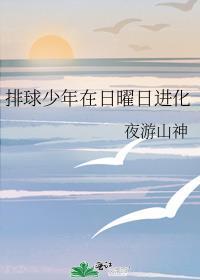 排球少年在日曜日进化TXT