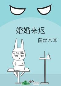 饕餮bug