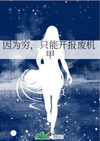 因为穷只能开报废机甲txt