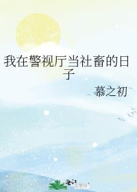 我在警视厅当社畜的日子