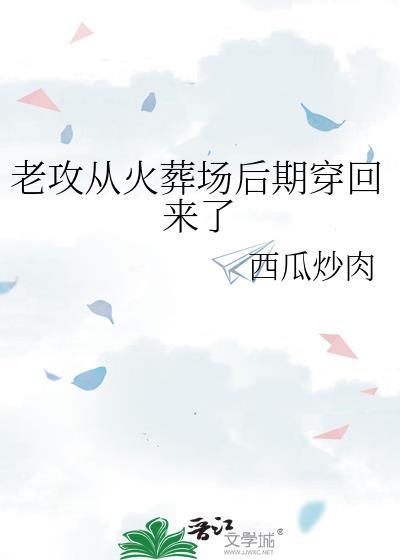 老攻从火葬场后期穿回来了