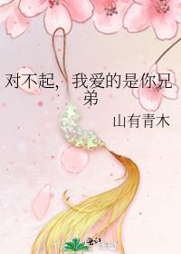 对不起，我爱的是你兄弟
