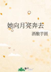 她向月亮奔去