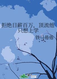 学术型偶像