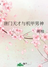 唐门天才与机甲男神