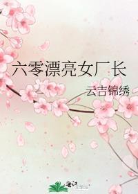 六零漂亮女厂长