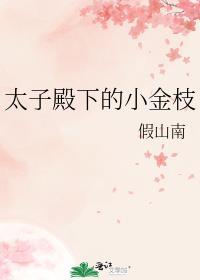 太子殿下的小金枝