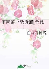 宇宙第一杂货铺[全息]