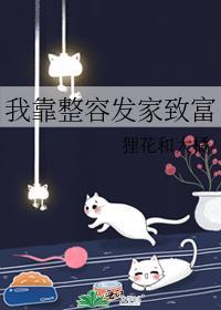 我靠整容发家致富