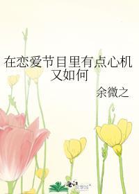小娇夫的首辅大人