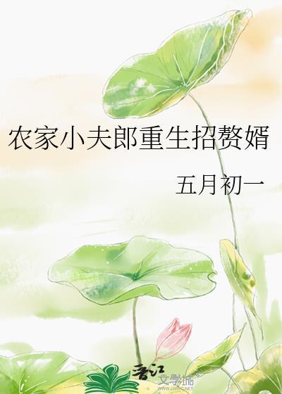 农家小夫郎重生招赘婿