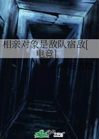 相亲对象是敌队宿敌[电竞]