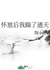 怀崽后我踹了通天