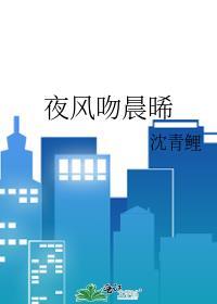 夜风吻晨晞