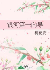 银河第一向导