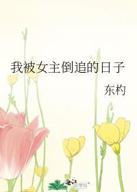 我被女主倒追的日子