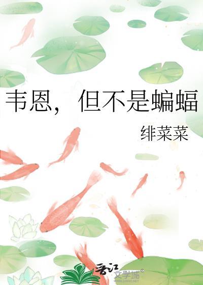 韦恩，但不是蝙蝠