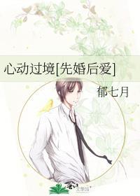 心动过境[先婚后爱]
