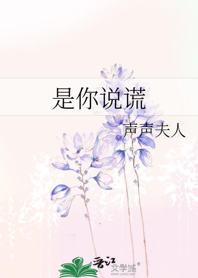 是你说谎