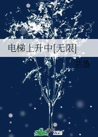 电梯上升中[无限]