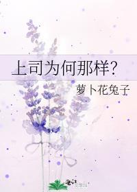 上司为何那样？