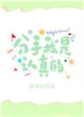 分手我是认真的！