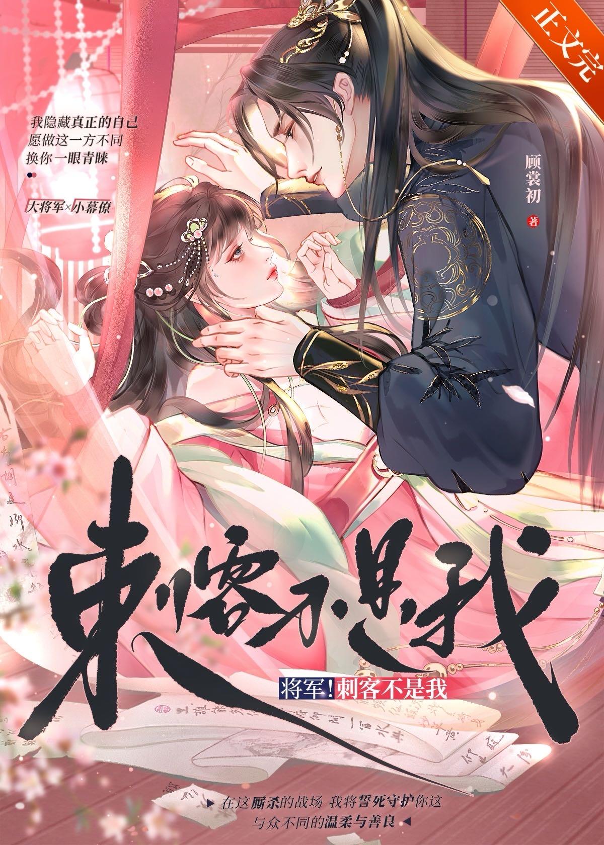 将军！刺客不是我