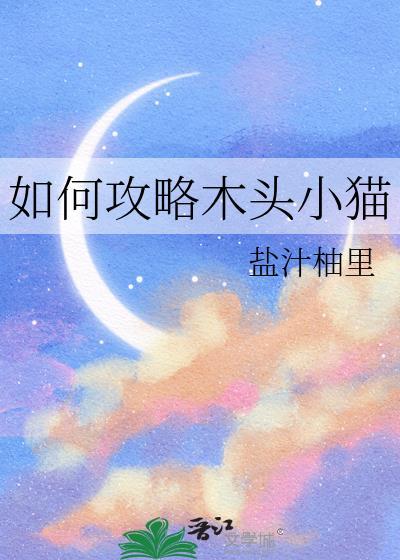 如何攻略木头小猫