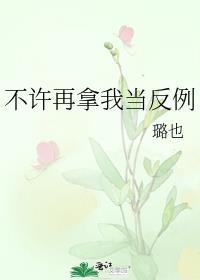 不许再拿我当反例