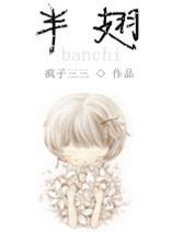 半翅