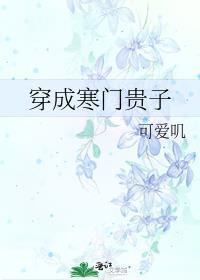 穿成寒门贵子
