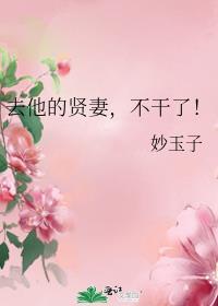 去他的贤妻，不干了！