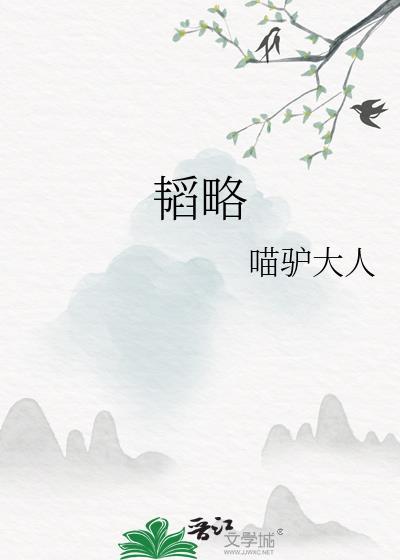 韬略