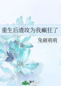 重生后渣攻为我癫狂了
