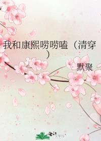 我和康熙唠唠嗑（清穿）