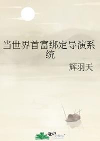 当世界首富绑定导演系统