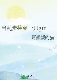 当乱步捡到一只gin