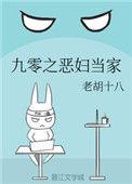 九零之恶妇当家