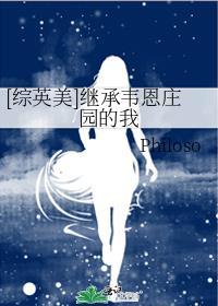 [综英美]继承韦恩庄园的我