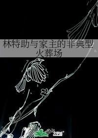 林特助与家主的非典型火葬场