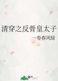 清穿之反骨皇太子
