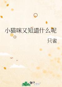 小猫咪又知道什么呢