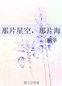 那片星空那片海网络版
