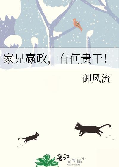 家兄嬴政，有何贵干！