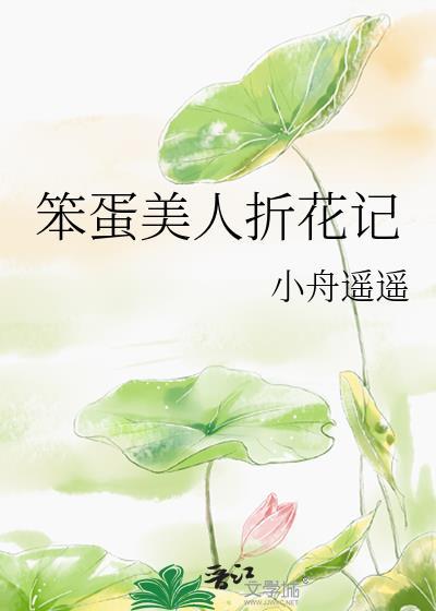 笨蛋美人折花记