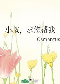 小叔，求您帮我