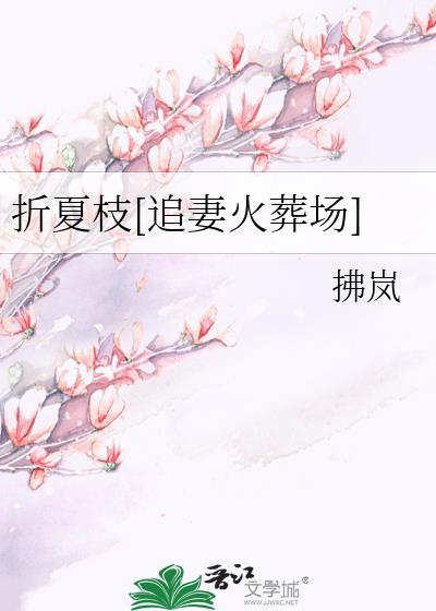 折夏枝[追妻火葬场]