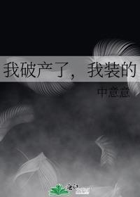 我破产了，我装的